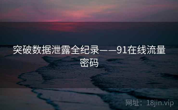 突破数据泄露全纪录——91在线流量密码